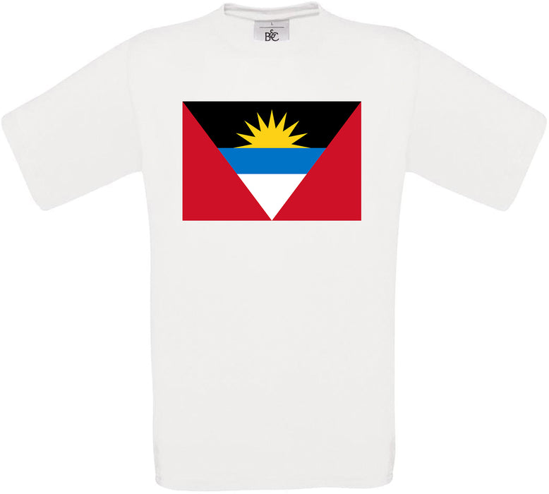 Argentina Standard Flag Crew Neck T-Shirt
